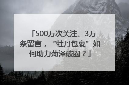 500万次关注、3万条留言，“牡丹包裹”如何助力菏泽破圈？