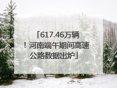617.46万辆！河南端午期间高速公路数据出炉