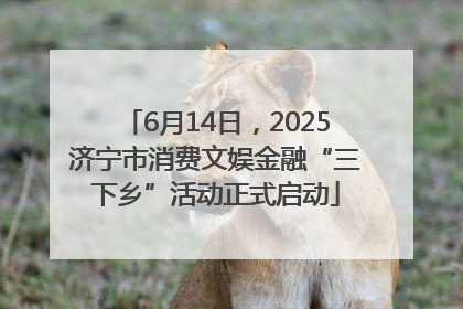 6月14日，2025济宁市消费文娱金融“三下乡”活动正式启动