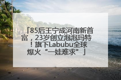 85后王宁成河南新首富，23岁创立泡泡玛特！旗下Labubu全球爆火“一娃难求”