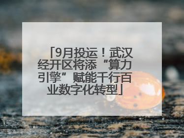 9月投运！武汉经开区将添“算力引擎”赋能千行百业数字化转型