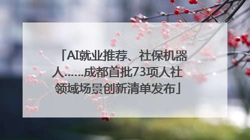 AI就业推荐、社保机器人……成都首批73项人社领域场景创新清单发布
