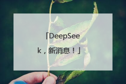 DeepSeek，新消息！