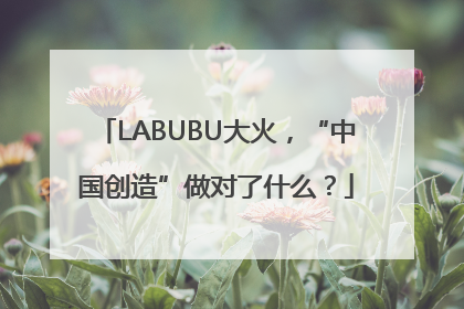 LABUBU大火，“中国创造”做对了什么？